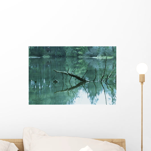 Scenic Woodland Lake Wall Mural