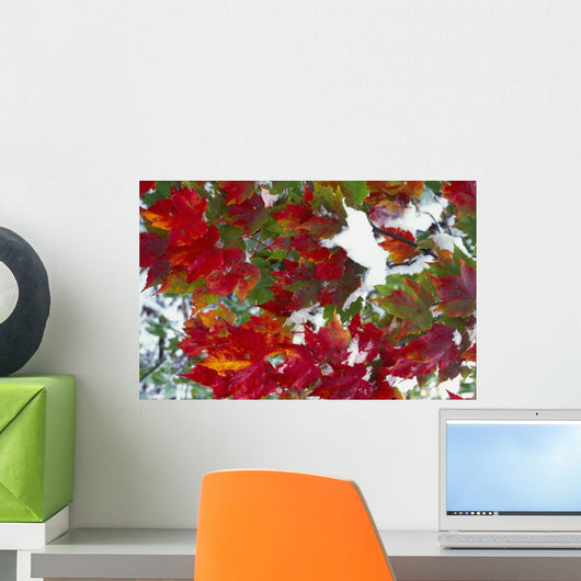 Leaves In Snow Wall Mural