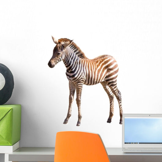 Piccolo Di Zebra Wall Mural