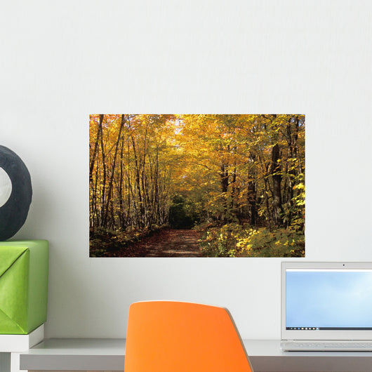 Changing Trees Wall Mural
