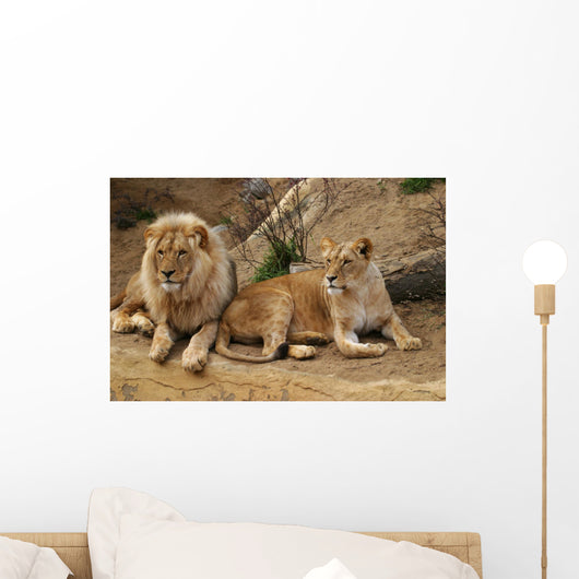 Angola Lion Wall Mural