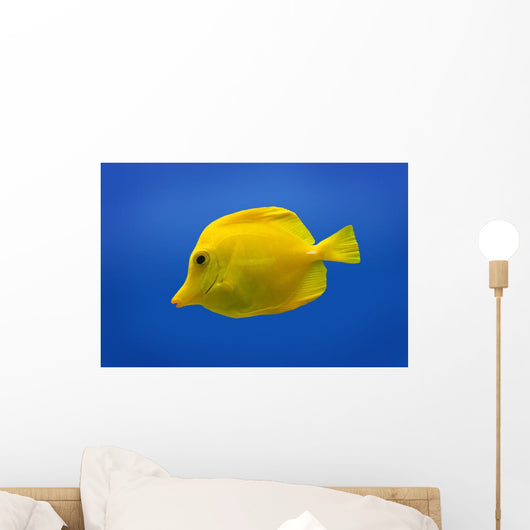 Yellow Fish Wall Mural