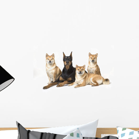 Doberman Pinscher And Friends Wall Mural