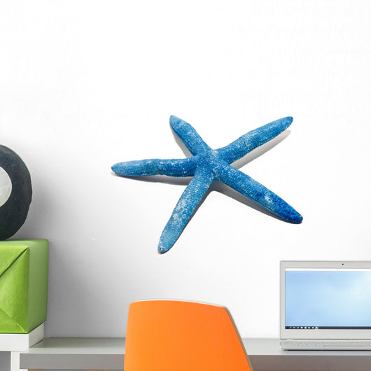 Starfish, seashell Wall Decal
