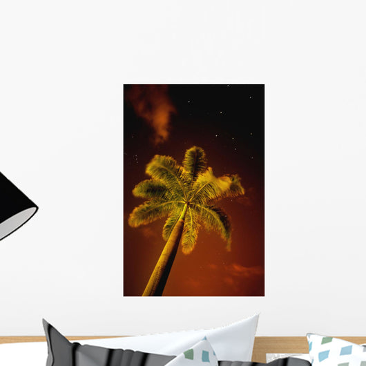 Tropical Palm Tree At Night Wall Mural
