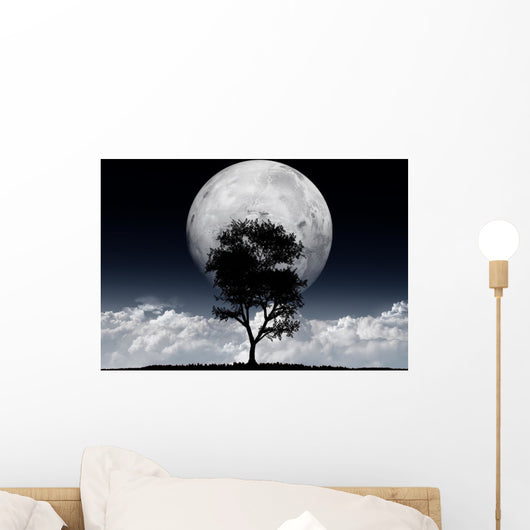 Fantastic moon Wall Mural