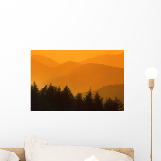Trees Silhouetted Against Hills, British Columbia, Canada Wall Mural