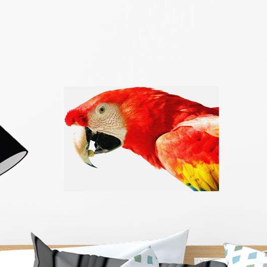 Scarlet Macaw Wall Mural