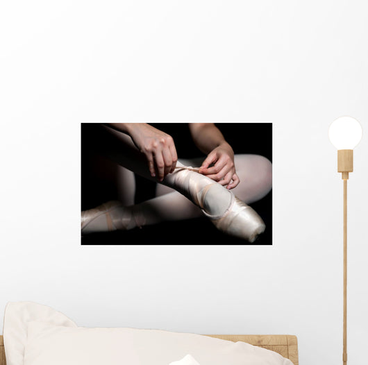 Ballet Slippers Wall Mural