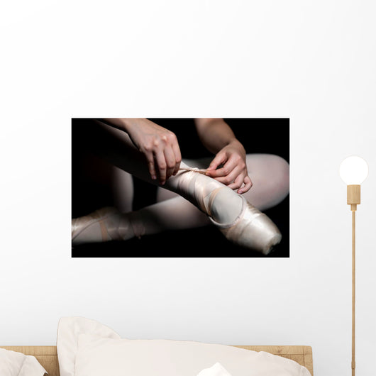 Ballet Slippers Wall Mural
