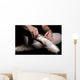 Ballet Slippers Wall Mural