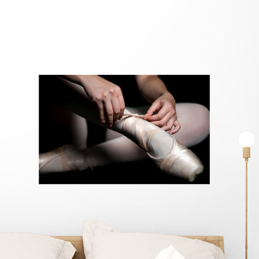 Ballet Slippers Wall Mural