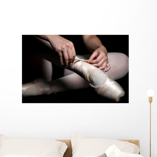 Ballet Slippers Wall Mural