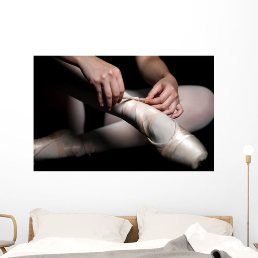 Ballet Slippers Wall Mural