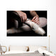 Ballet Slippers Wall Mural