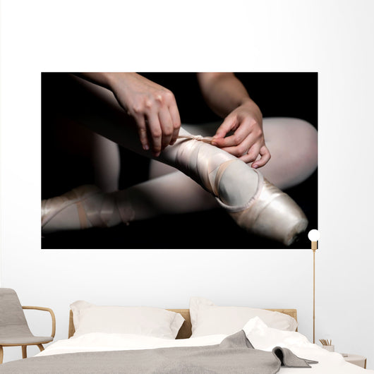 Ballet Slippers Wall Mural