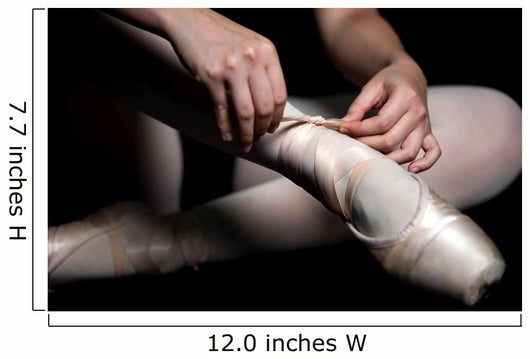 Ballet Slippers Wall Mural