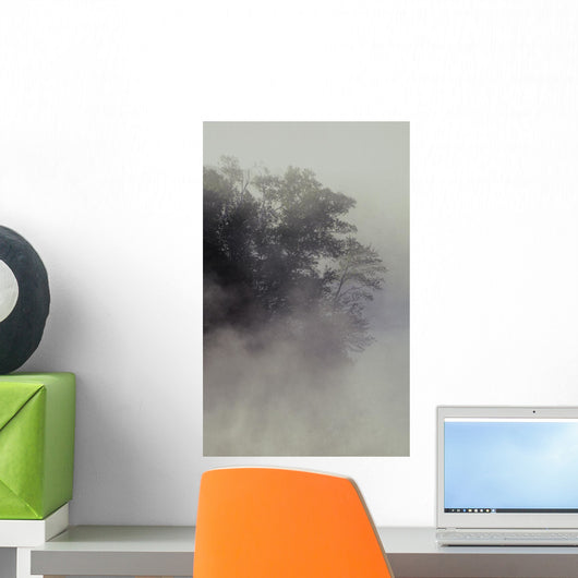 Tree Shrouded In Fog Wall Mural