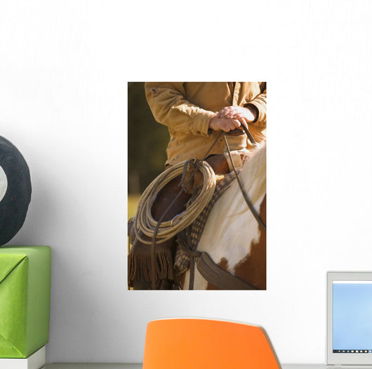 Cowboy And Lasso Wall Mural