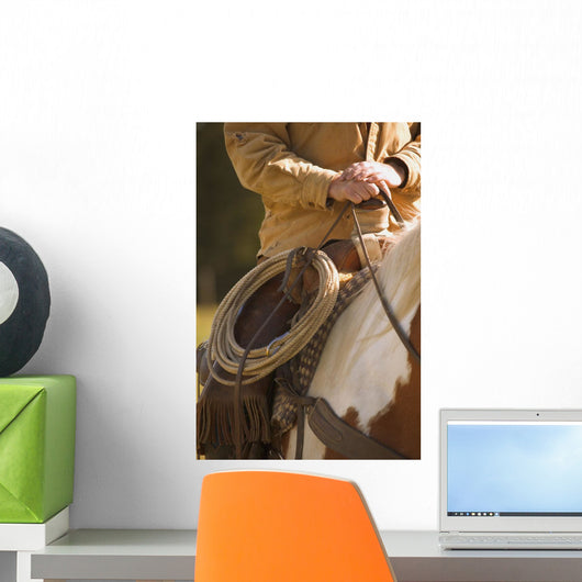 Cowboy And Lasso Wall Mural
