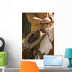 Cowboy And Lasso Wall Mural
