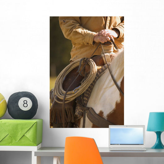 Cowboy And Lasso Wall Mural