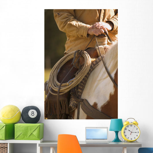 Cowboy And Lasso Wall Mural
