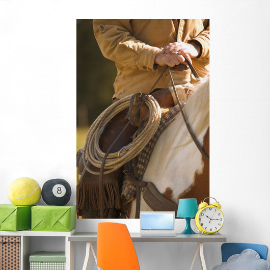 Cowboy And Lasso Wall Mural