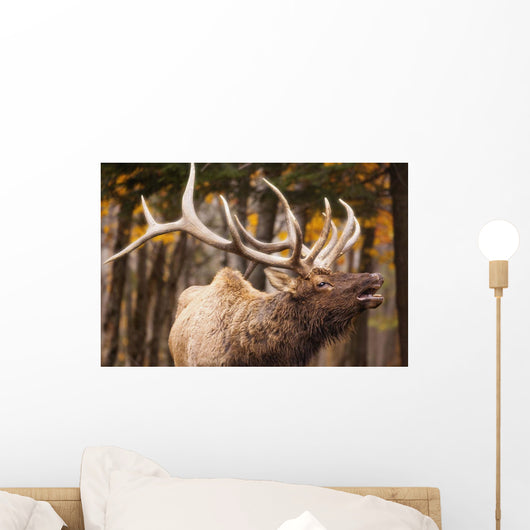 Elk In The Forest Wall Mural