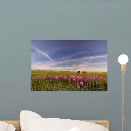 Rural Landscape, Alberta, Canada Wall Mural