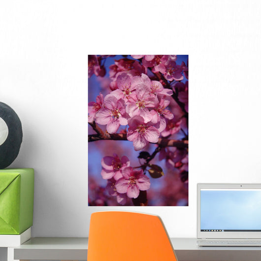 A Close-Up Of Small, Pink Flowers Wall Mural