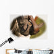A Cowboy Boot Wall Mural