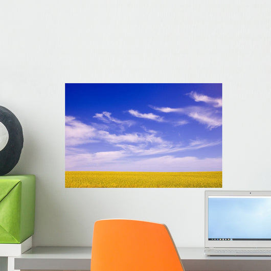 A Canola Field Wall Mural