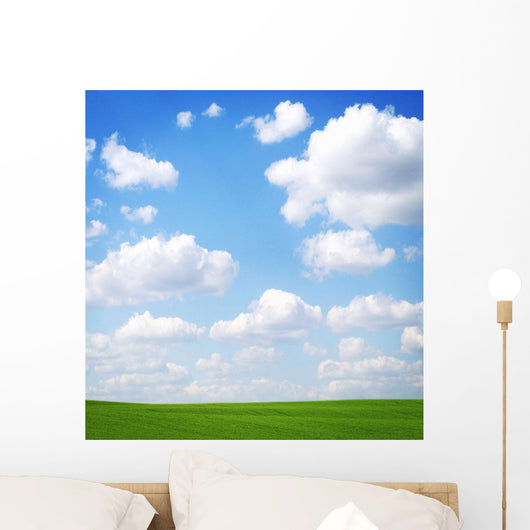 Clouds In The Sky Wall Mural