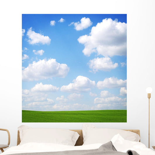 Clouds In The Sky Wall Mural