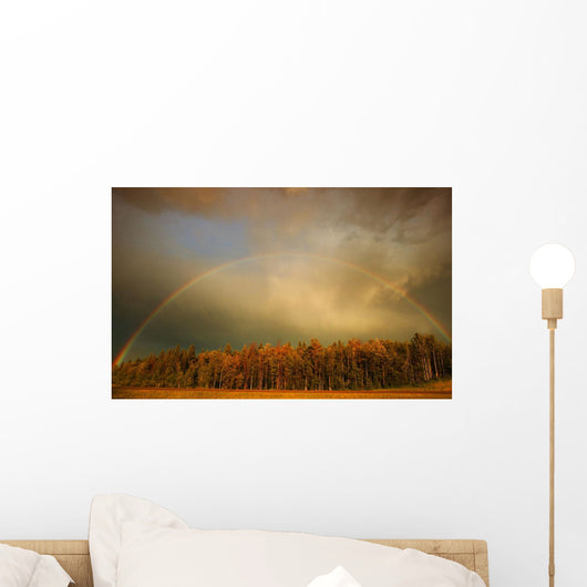 A Rainbow Over A Wooded Area Wall Mural