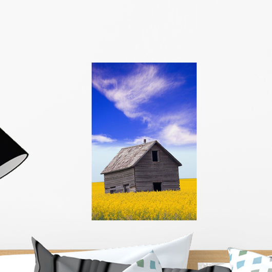 An Abandoned Farm Building Wall Mural