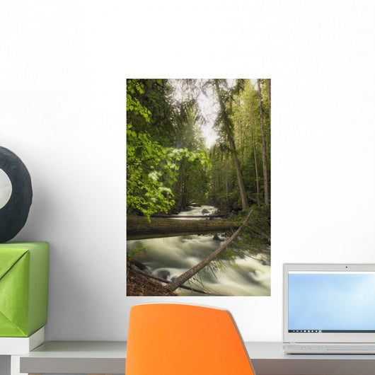 A Rushing River In A Forest Wall Mural