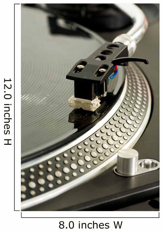 Playing record Wall Mural