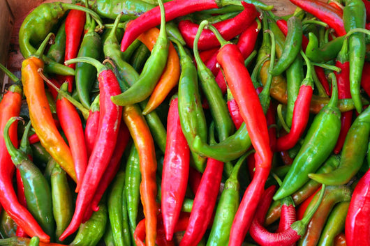 Hot Peppers Wall Mural