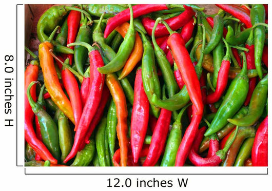 Hot Peppers Wall Mural