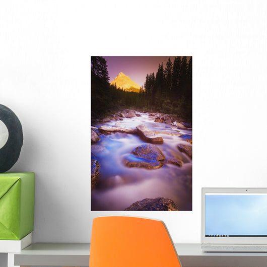 A Beautiful Stream Wall Mural