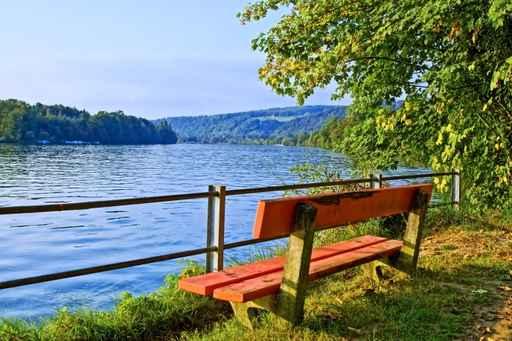 Autumn River Rhine Wall Decal