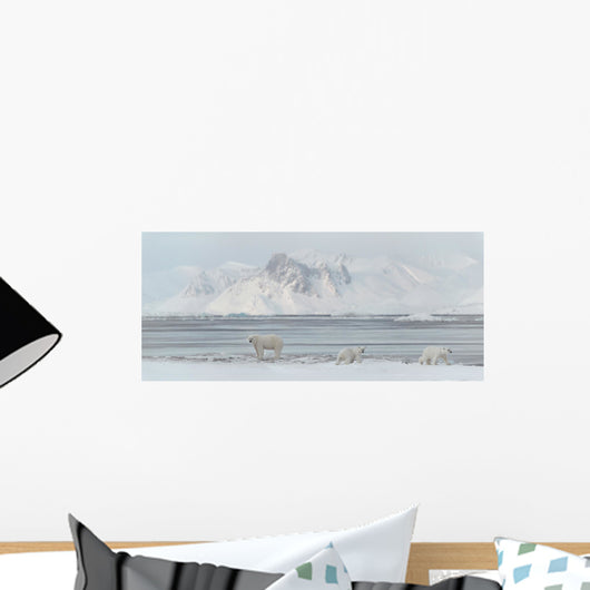3 polar bears Wall Mural