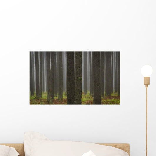 Tree Trunks Wall Mural