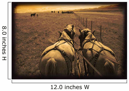 Horses Pulling Carriage Wall Mural