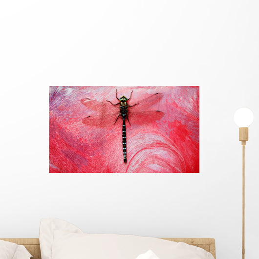 Closeup Of A Dragonfly Wall Mural