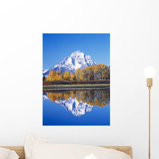 Usa Wall Mural