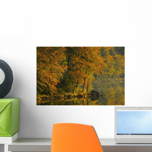 Autumn Scenic Wall Mural
