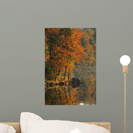Autumn Scenic Wall Mural